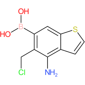 4-amino-5-(chloromethyl)benzothiophene-6-boronic acid