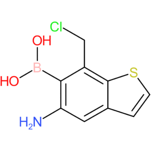 5-amino-7-(chloromethyl)benzothiophene-6-boronic acid