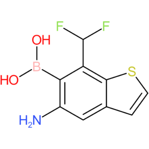 5-amino-7-(difluoromethyl)benzothiophene-6-boronic acid