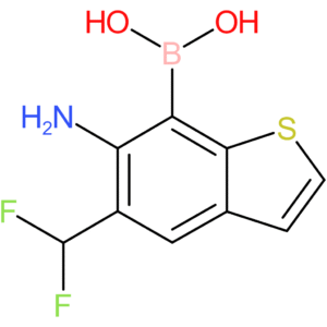 6-amino-5-(difluoromethyl)benzothiophene-7-boronic acid