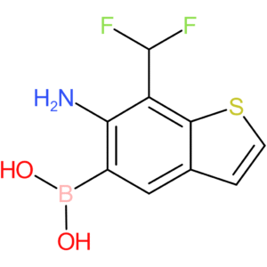 6-amino-7-(difluoromethyl)benzothiophene-5-boronic acid