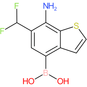 7-amino-6-(difluoromethyl)benzothiophene-4-boronic acid