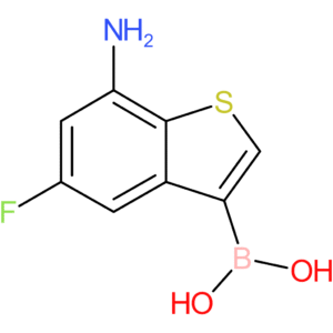 7-amino-5-fluorobenzothiophene-3-boronic acid