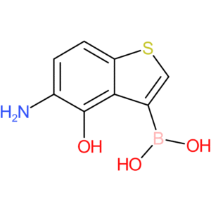 5-amino-4-hydroxybenzothiophene-3-boronic acid