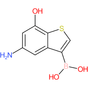 5-amino-7-hydroxybenzothiophene-3-boronic acid