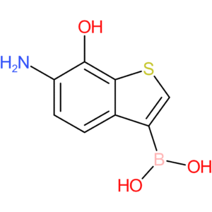 6-amino-7-hydroxybenzothiophene-3-boronic acid