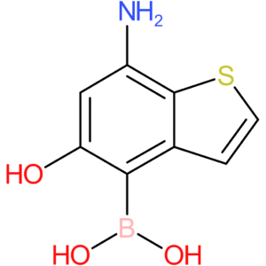 7-amino-5-hydroxybenzothiophene-4-boronic acid