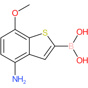 4-amino-7-methoxybenzothiophene-2-boronic acid