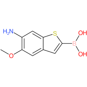6-amino-5-methoxybenzothiophene-2-boronic acid