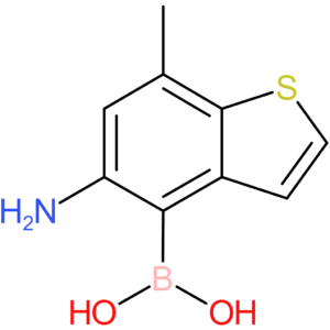 5-amino-7-methylbenzothiophene-4-boronic acid