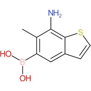 (7-amino-6-methyl-1-benzothiophen-5-yl)boronic acid