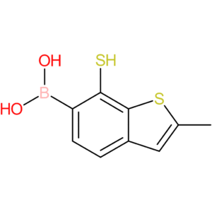 (2-methyl-7-sulfanyl-1-benzothiophen-6-yl)boronic acid