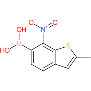 2-methyl-7-nitrobenzothiophene-6-boronic acid