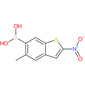 5-methyl-2-nitrobenzothiophene-6-boronic acid