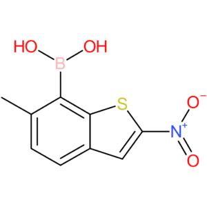 6-methyl-2-nitrobenzothiophene-7-boronic acid