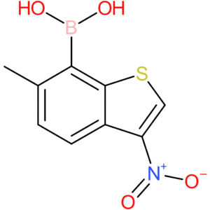 6-methyl-3-nitrobenzothiophene-7-boronic acid