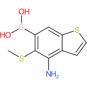 4-amino-5-(methylthio)benzothiophene-6-boronic acid