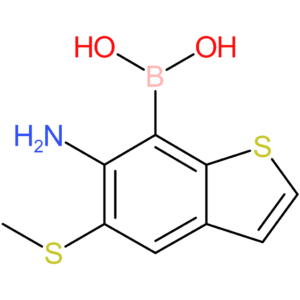 6-amino-5-(methylthio)benzothiophene-7-boronic acid