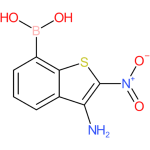3-amino-2-nitrobenzothiophene-7-boronic acid