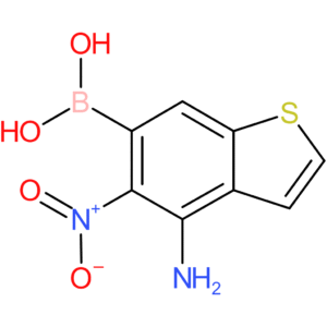 4-amino-5-nitrobenzothiophene-6-boronic acid