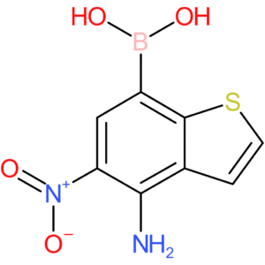 4-amino-5-nitrobenzothiophene-7-boronic acid