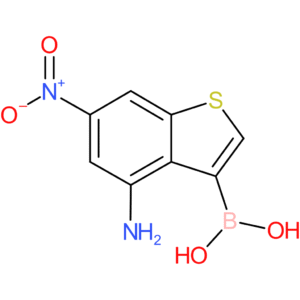 4-amino-6-nitrobenzothiophene-3-boronic acid