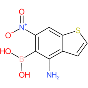 4-amino-6-nitrobenzothiophene-5-boronic acid