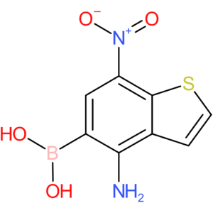 4-amino-7-nitrobenzothiophene-5-boronic acid