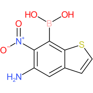 5-amino-6-nitrobenzothiophene-7-boronic acid