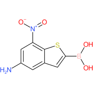 5-amino-7-nitrobenzothiophene-2-boronic acid