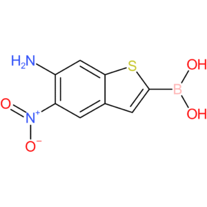 6-amino-5-nitrobenzothiophene-2-boronic acid