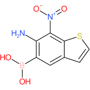 6-amino-7-nitrobenzothiophene-5-boronic acid