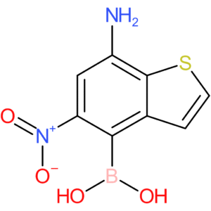 7-amino-5-nitrobenzothiophene-4-boronic acid