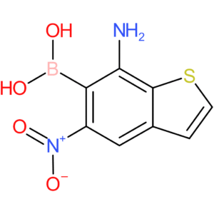 7-amino-5-nitrobenzothiophene-6-boronic acid