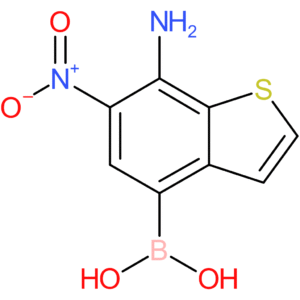 7-amino-6-nitrobenzothiophene-4-boronic acid