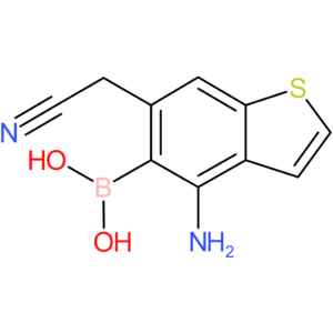 4-amino-5-boronobenzothiophene-6-acetonitrile