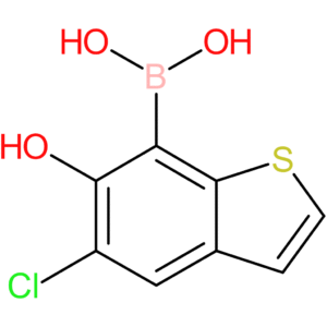 5-chloro-6-hydroxybenzothiophene-7-boronic acid
