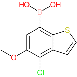 4-chloro-5-methoxybenzothiophene-7-boronic acid