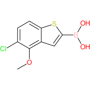 5-chloro-4-methoxybenzothiophene-2-boronic acid
