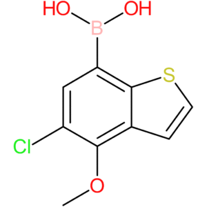 5-chloro-4-methoxybenzothiophene-7-boronic acid