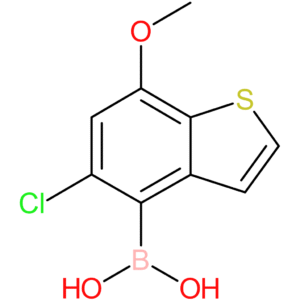5-chloro-7-methoxybenzothiophene-4-boronic acid