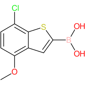 7-chloro-4-methoxybenzothiophene-2-boronic acid