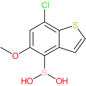 7-chloro-5-methoxybenzothiophene-4-boronic acid