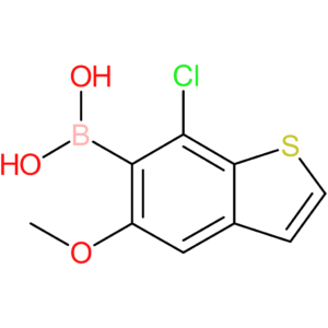 7-chloro-5-methoxybenzothiophene-6-boronic acid