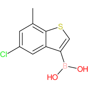 5-chloro-7-methylbenzothiophene-3-boronic acid