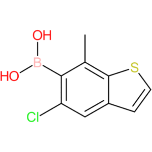(5-chloro-7-methyl-1-benzothiophen-6-yl)boronic acid