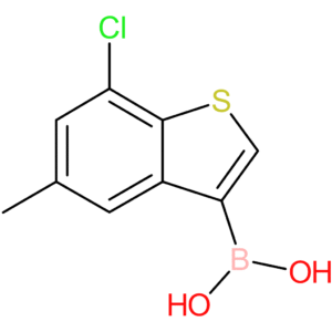 (7-chloro-5-methyl-1-benzothiophen-3-yl)boronic acid