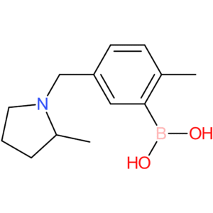 (2-methyl-5-[(2-methylpyrrolidin-1-yl)methyl]phenyl)boronic acid
