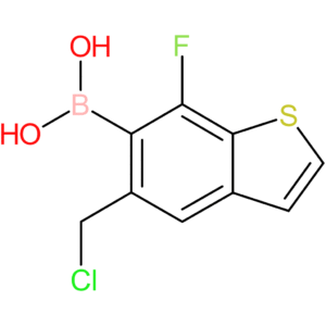 5-(chloromethyl)-7-fluorobenzothiophene-6-boronic acid