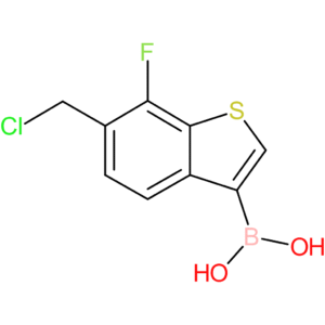 6-(chloromethyl)-7-fluorobenzothiophene-3-boronic acid